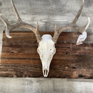 Photo of Reclaimed Wood of Denver