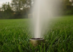 Photo of Rockville Landscaping Solutions