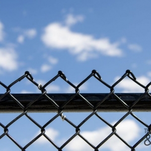 Photo of Thunder Fence & Gate