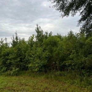 Photo of Tucker Mountain Farms