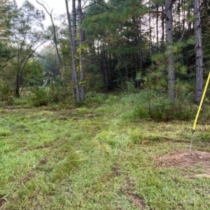 Photo of Tucker Mountain Farms