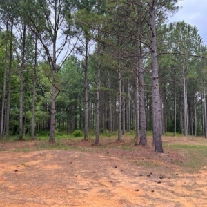 Photo of Tucker Mountain Farms