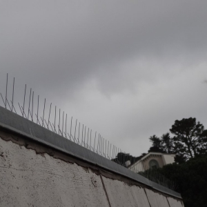 Photo of Barry's Bird Control & Power Washing