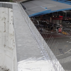 Photo of Barry's Bird Control & Power Washing
