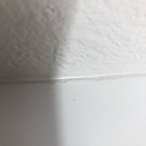 Photo of San Diego Granite