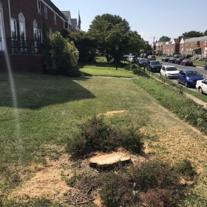 Havre de Grace Naturevision