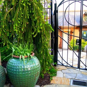 Photo of Buhler Landscape & Design