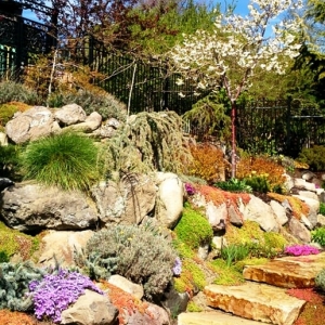 Photo of Buhler Landscape & Design