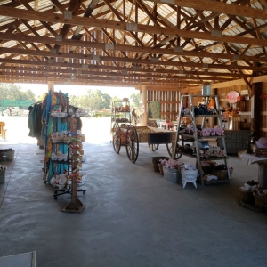 Photo of Honeysuckle Hill Farm