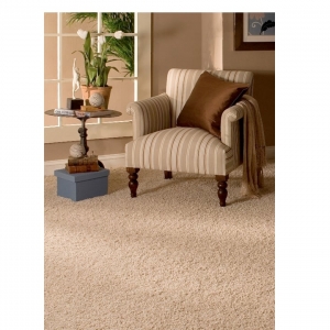 Photo of Triple A Carpet Cleaning