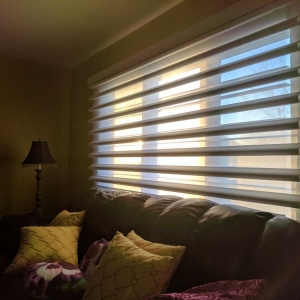 Bartlett Image Custom Blinds