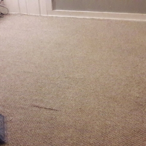 Photo of Daniele L Hinkle Janitorial Services