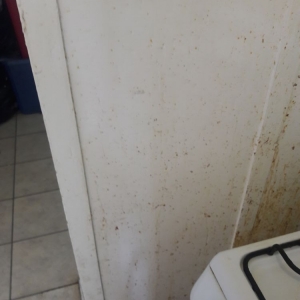 Indianapolis Daniele L Hinkle Janitorial Services