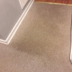 Photo of Daniele L Hinkle Janitorial Services