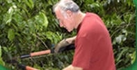 Photo of Corner Landscaping & Tree Service