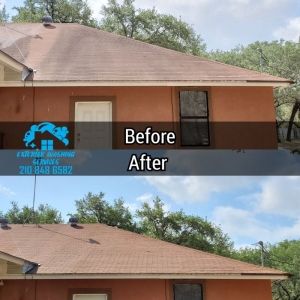 Photo of Exterior Washing Services