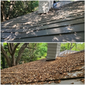 Photo of Exterior Washing Services