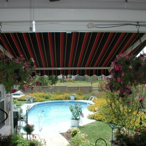 Photo of Ripley's Blind & Drapery