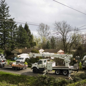 Photo of Bayside Services