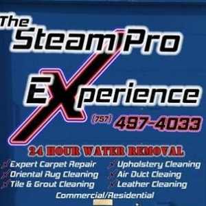Photo of Steam Pro