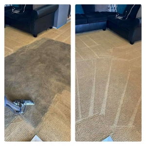 Photo of Advanced Carpet Cleaning