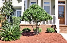 Photo of Greatest Scapes Landscaping