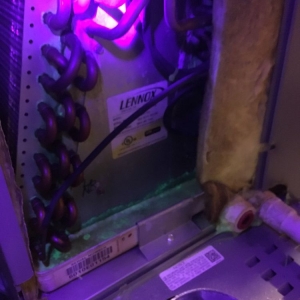 Photo of Ideal Air
