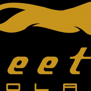 Photo of Cheetah Solar