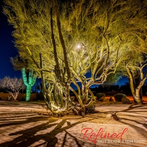 Photo of Refined Outdoor Lighting