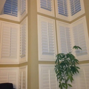 Photo of 805 Shutters-Shades-Blinds