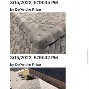 Photo of Kanga Roof