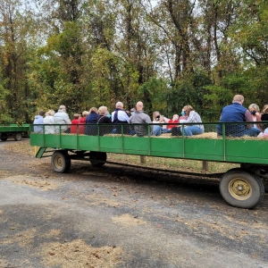 Photo of Bo Brook Farms