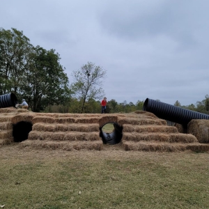 Photo of Bo Brook Farms