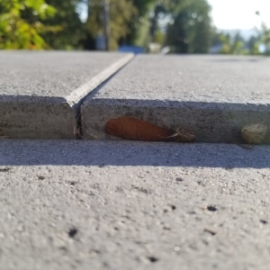 Photo of Aguiar Pavers