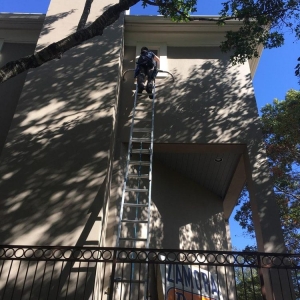 Photo of Vista Window Cleaning