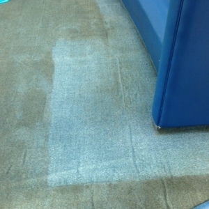 Photo of Pro Clean Cleaning and Restoration