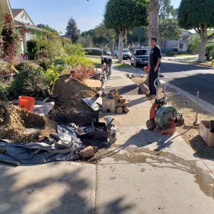 Hawthorne Rapid Action Rooter