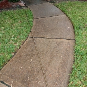 Photo of GPS Cleaning and Detailing Services
