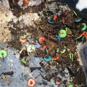 Photo of Flo-Rite Gutter Service