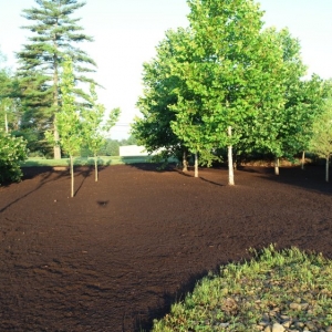 Photo of Northstar Environmental Group