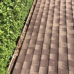 Photo of Quality Cleaning Services