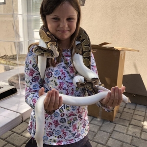 Photo of For Goodness Snakes