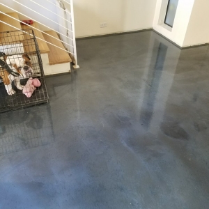 Photo of 5 Star Floor & More