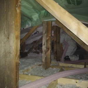Photo of Skyline Roofing & Contracting