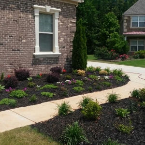 Photo of Tia's Total Landscaping