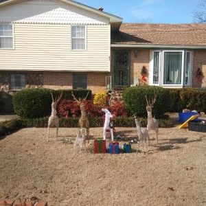 Photo of Tia's Total Landscaping