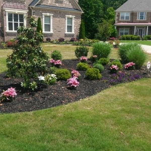 Photo of Tia's Total Landscaping