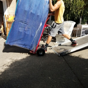 Photo of Muscle Pro Movers