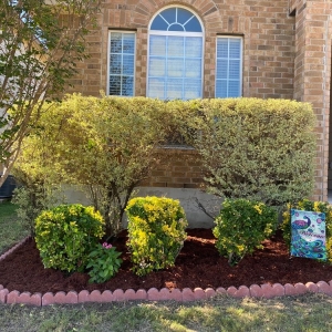 Photo of J Lozano Lawn Services