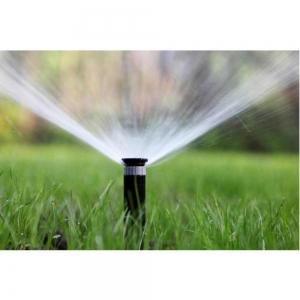 San Antonio J Lozano Lawn Services